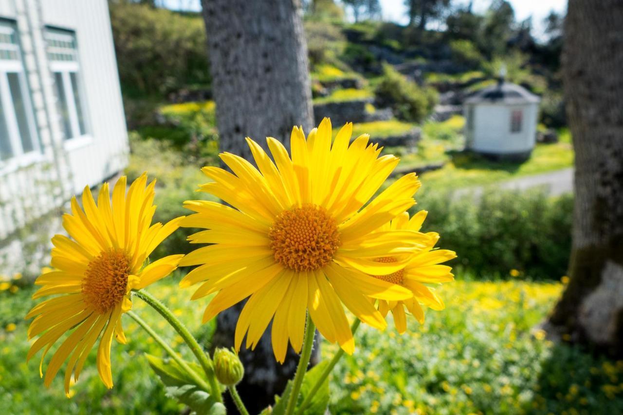 Lofoten Sommerhotell Og Vandrerhjem Kabelvag Bagian luar foto